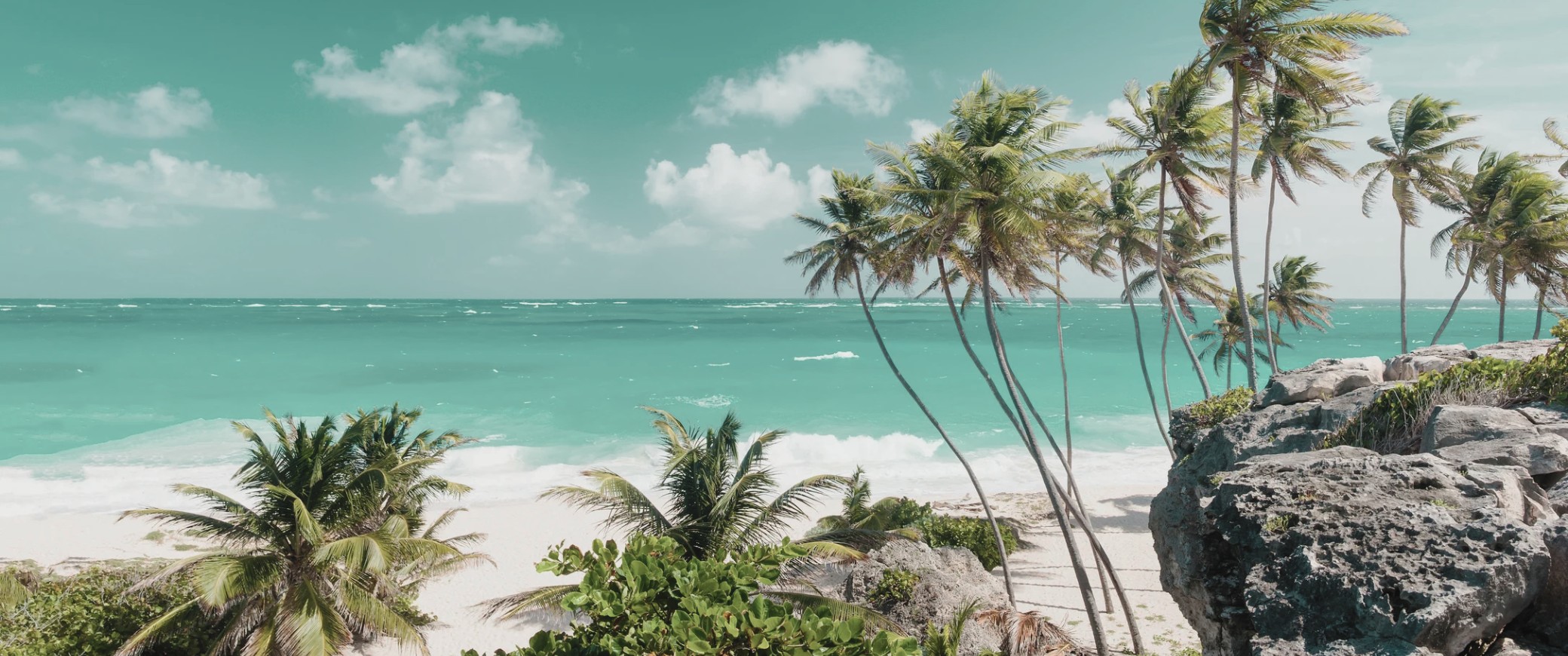 Travesía caribeña: Punta Cana con crucero
