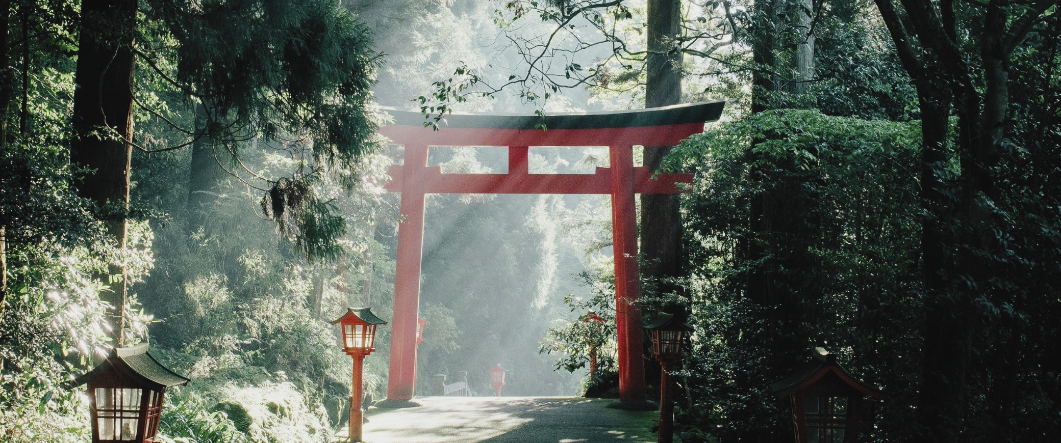 Encantos de Corea y Japón