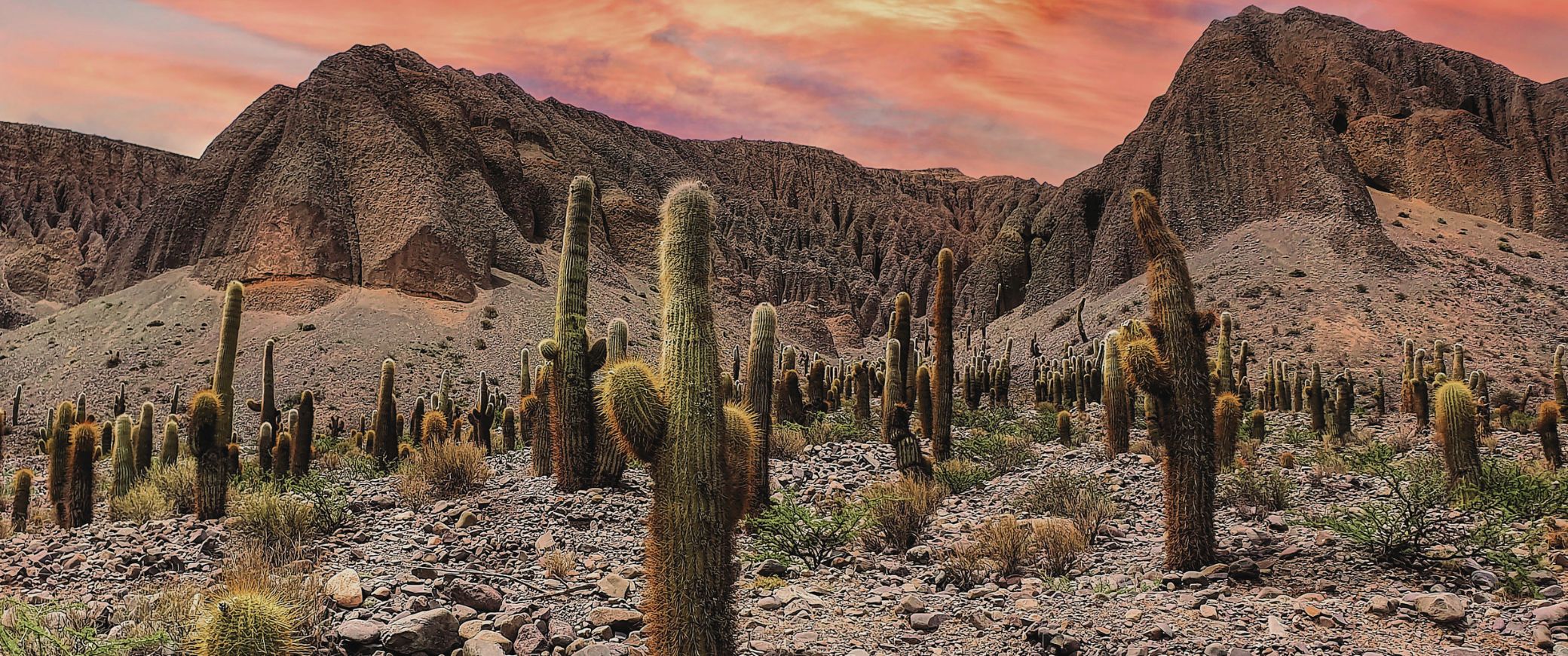 Salta con Humahuaca